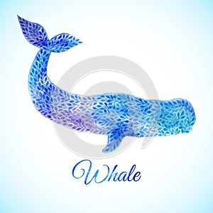 Blue Watercolor whale illustration