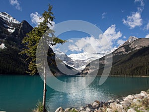 Blue waters of Lake Louise in summer, Banff National Park, Alberta, Canada