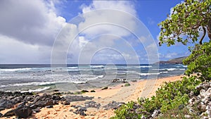 The blue waves of the Pacific Ocean roll over the rocky beach of the Hawaiian island of Oahu. Green tropical tree under