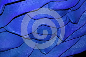 Blue wavy background. Abstraction. Textured relief wall