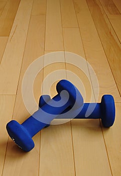 Blue Weights on Hardwood Floor of Fitness Center