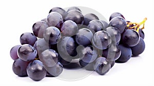 Blue wet Isabella grapes bunch isolated on white background. Ripe grapes. generative ai