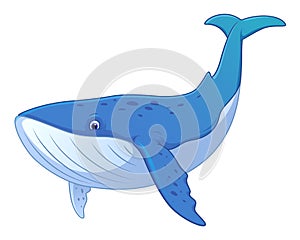Blue Whale Cartoon Animal Illustration
