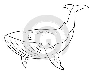 Blue Whale Cartoon Animal Illustration BW
