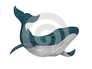 Blue whale. Cute illustration on white isolated background