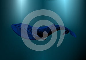 Blue whale in deep sea. Sea fish mosaic drawing. Polygon ocean mammal. Dark bottom marine creature. Vector illustration.