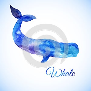 Blue Whale Illustration. Watercolor whale. Vector illustration of watercolor whale.