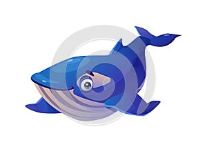 Blue whale isolated cachalot cartoon animal mascot