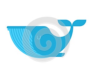 Blue Whale isolated. large mammal under water. Vector illustration