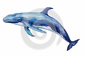 Blue whale isolated on white background. Hand drawn watercolor illustration, Watercolor blue whale illustration isolated on white