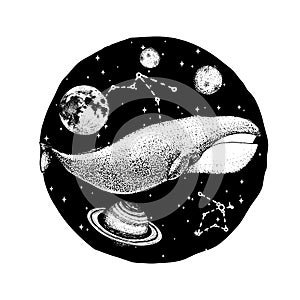 Blue whale and planets in solar system. Astronomical galaxy space. Explore adventure. Engraved hand drawn in old sketch