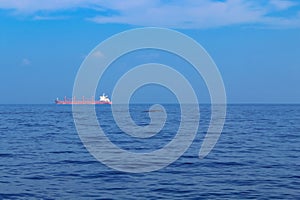 Blue whale's backs emerging from the water