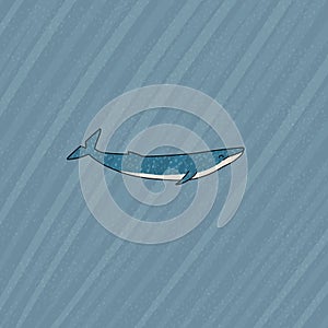 Blue whale is underwater with sun light or sun rays. Vector hand drawn cartoon childish illustration on the blue