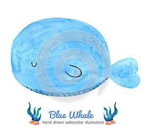 Blue Whale watercolor on white background , Cartoon Hand drawn character for Kids, Greeting Card , Cases design, Postcards,