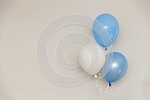 Blue and white balloons on light grey wall background. Gender reveal party.