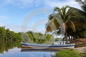 Blue and white boat. Coqueiro and Rio photo