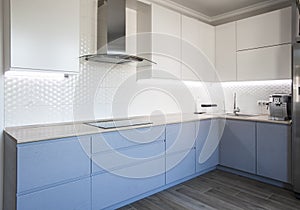 Blue and white cabinets in modern kitchen interior