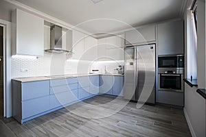 Blue and white cabinets in modern kitchen interior