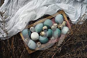 Blue, and white and chicken eggs and quail eggs in wooden retro