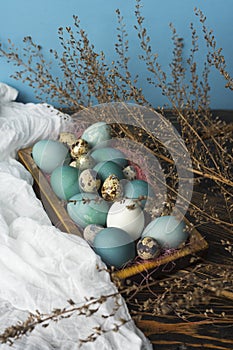 Blue, and white and chicken eggs and quail eggs in wooden retro