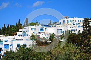 Blue and White City of Sidi Bou Said