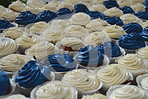 Blue and white cupcakes or muffins