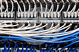 Blue and White Ethernet Cables in Patch Panel.