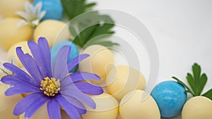 Blue and white flowers green leaves and candy Easter eggs on a scrunched plain white paper background