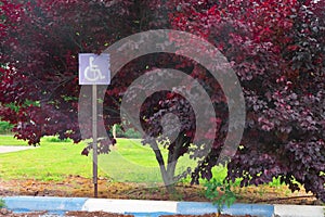 Blue and white parking stones and sign for handicap parking place Kibbutz Kfar Glikson Israel