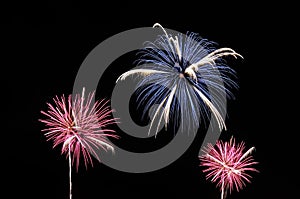 Blue, white and pink fireworks on dark background