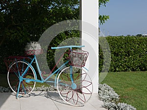 Blue, white and red bicycle with baskets and plants