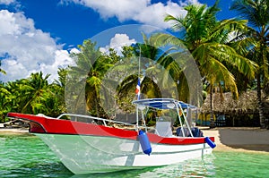 Blue, white, red boat on azure water among palm trees