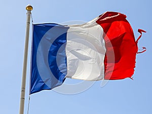 Blue, white, red National Flag of France