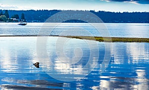 Blue White Reflection Speedboat Lake Sammamish State Park Issaquah Washington photo