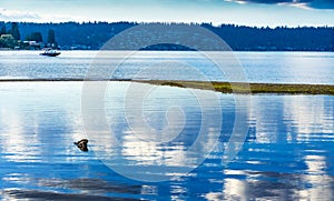 Blue White Reflection Speedboat Lake Sammamish State Park Issaquah Washington