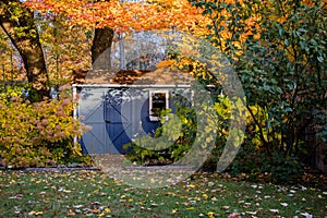 Blue shed in the garden in Autumn photo