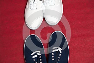 Blue and white sneakers stand on red background