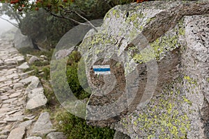 Blue and white trailblazing symbol on a rock near the mountain trail photo