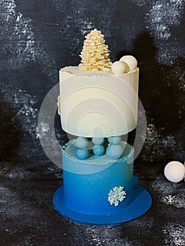 Blue and white two levels cake with bisquit