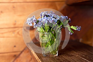 Blue wildflowers in a glass cup on a wooden background. Forget me nots.