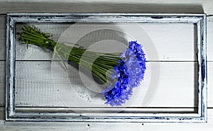 Blue wildflowers in the old frame