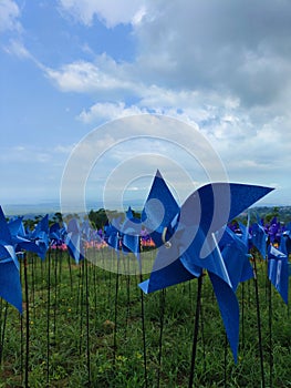 Blue Windmil on The Green Grass photo