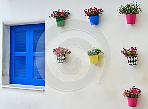 Blue window and colorful fake flower in the zinc vase