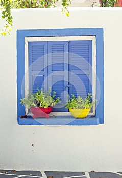 Blue window with flowerpots
