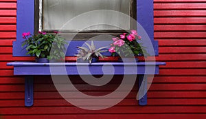 Blue window frame on red weatherboard house