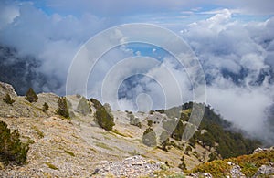 Blue Window in Mountain Sky and Large Clouds Nature Landscape Green Pine Trees