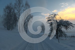 Blue winter landscape with fog and birches on a bend in the road