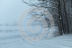 Blue winter landscape with fog and trees on a bend in the road