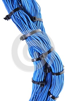 Blue wires bundles