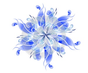 Blue Wispy Flower Blossoms photo